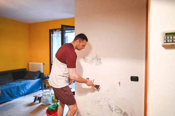 Trusted Greeley, CO Mold Removal Experts